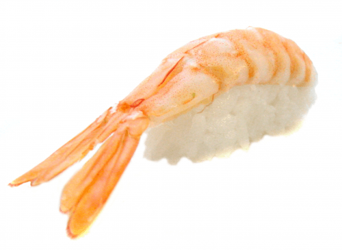 Nigiri sushi garnaal